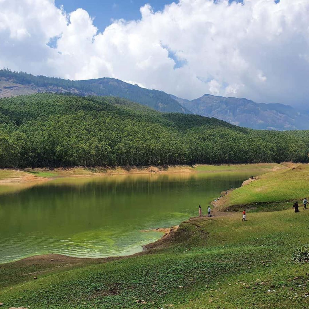 eco point munnar