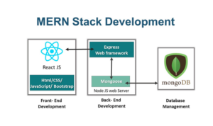 mern development