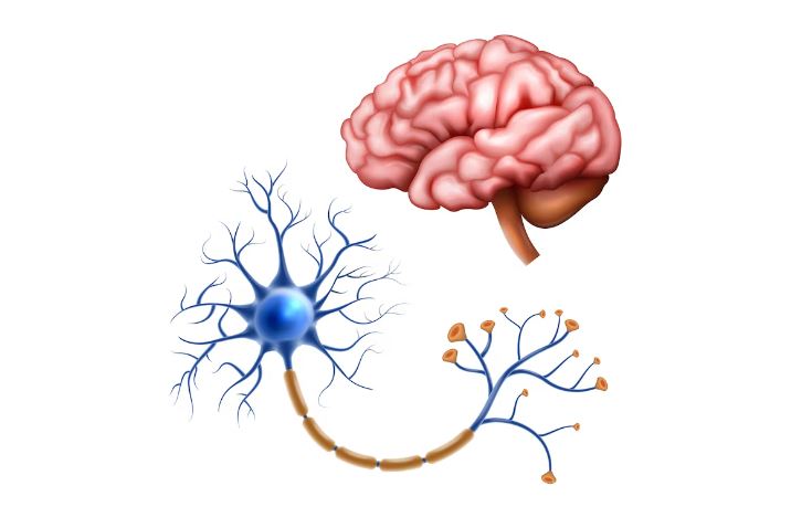 neurology in tirunelveli