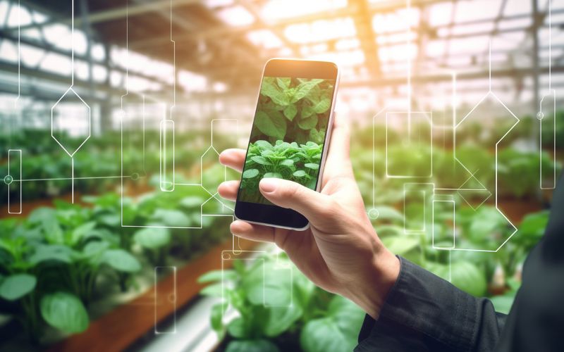 AI in Agriculture