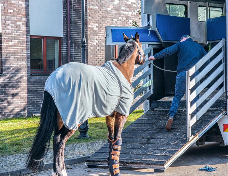 NationWide Horse Transport in California