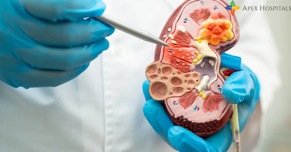 Can Celiac Disease Be Prevented