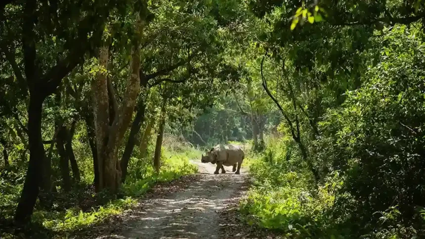 Chitwan National Park
