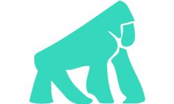 seo services in delhi