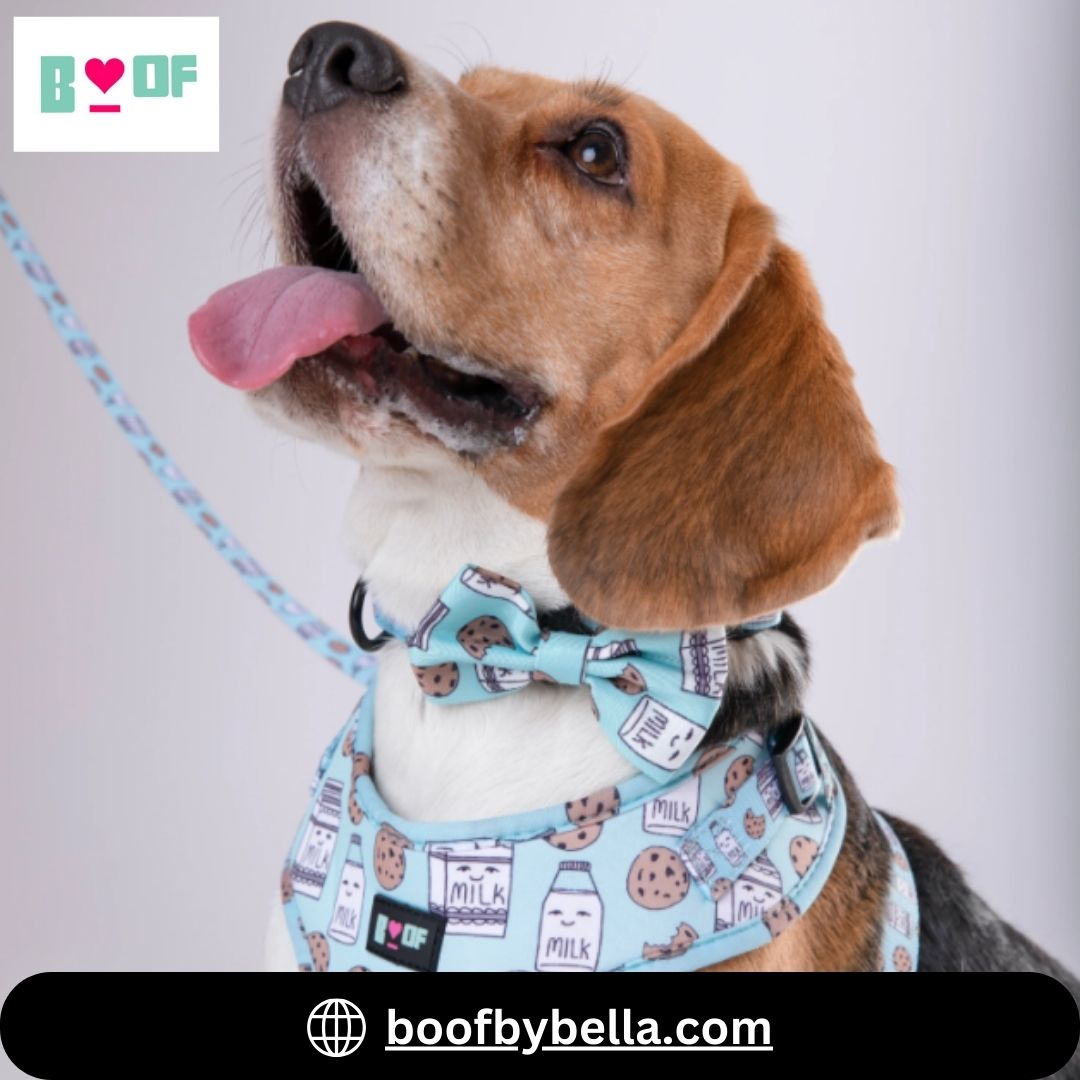 Dog Harness
