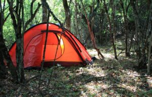 Jungle Camping