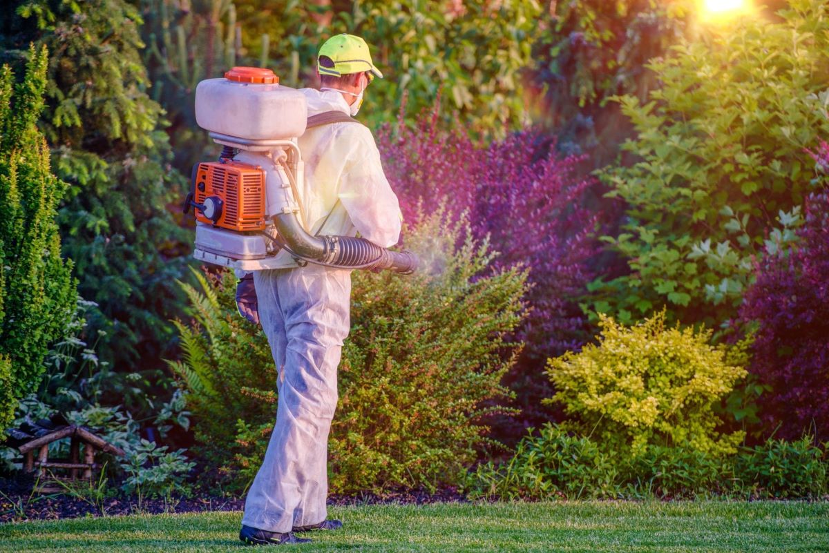 pest control services for residential