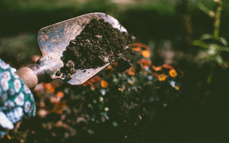 Secondary Macronutrient Fertilizers