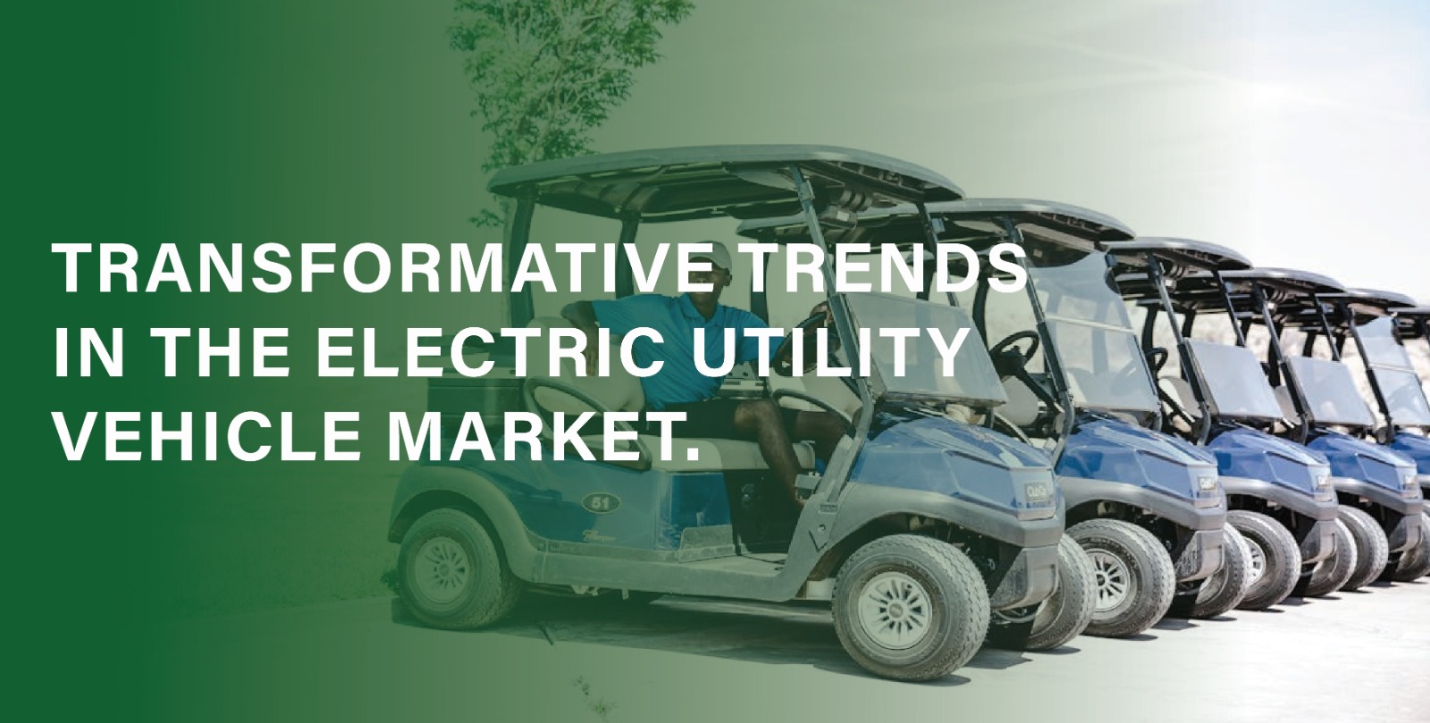 electric utility vehicle