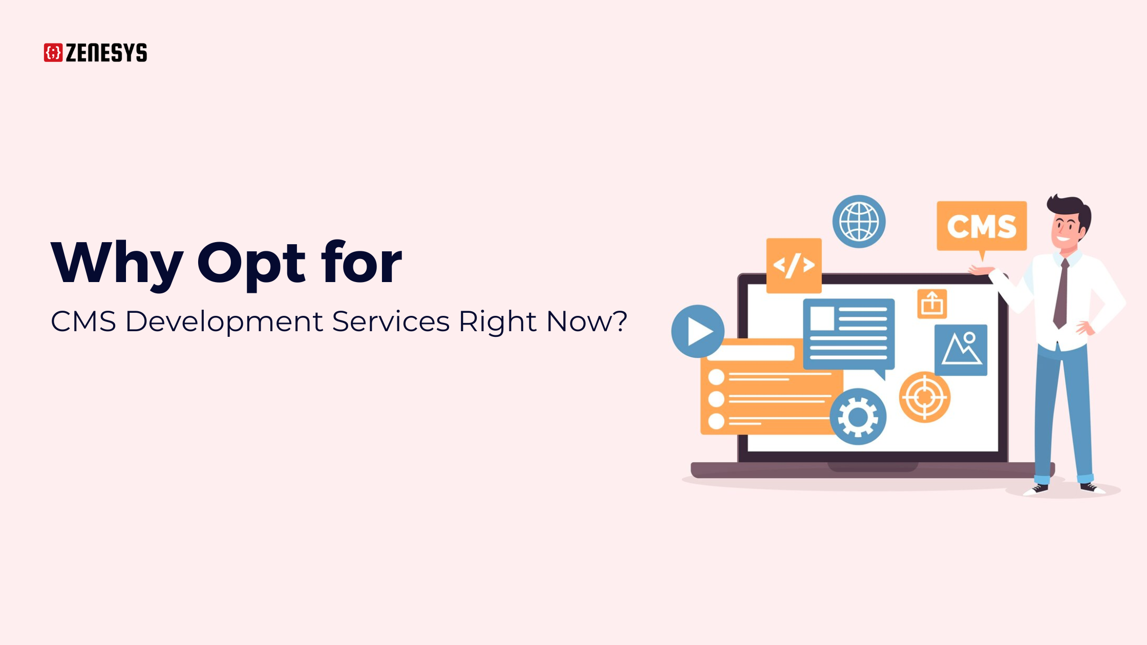 Why opt for CMS development Services