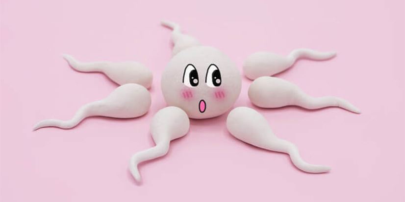 Egg & sperm donor program