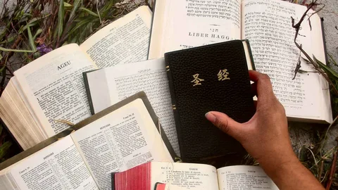 best book editing company