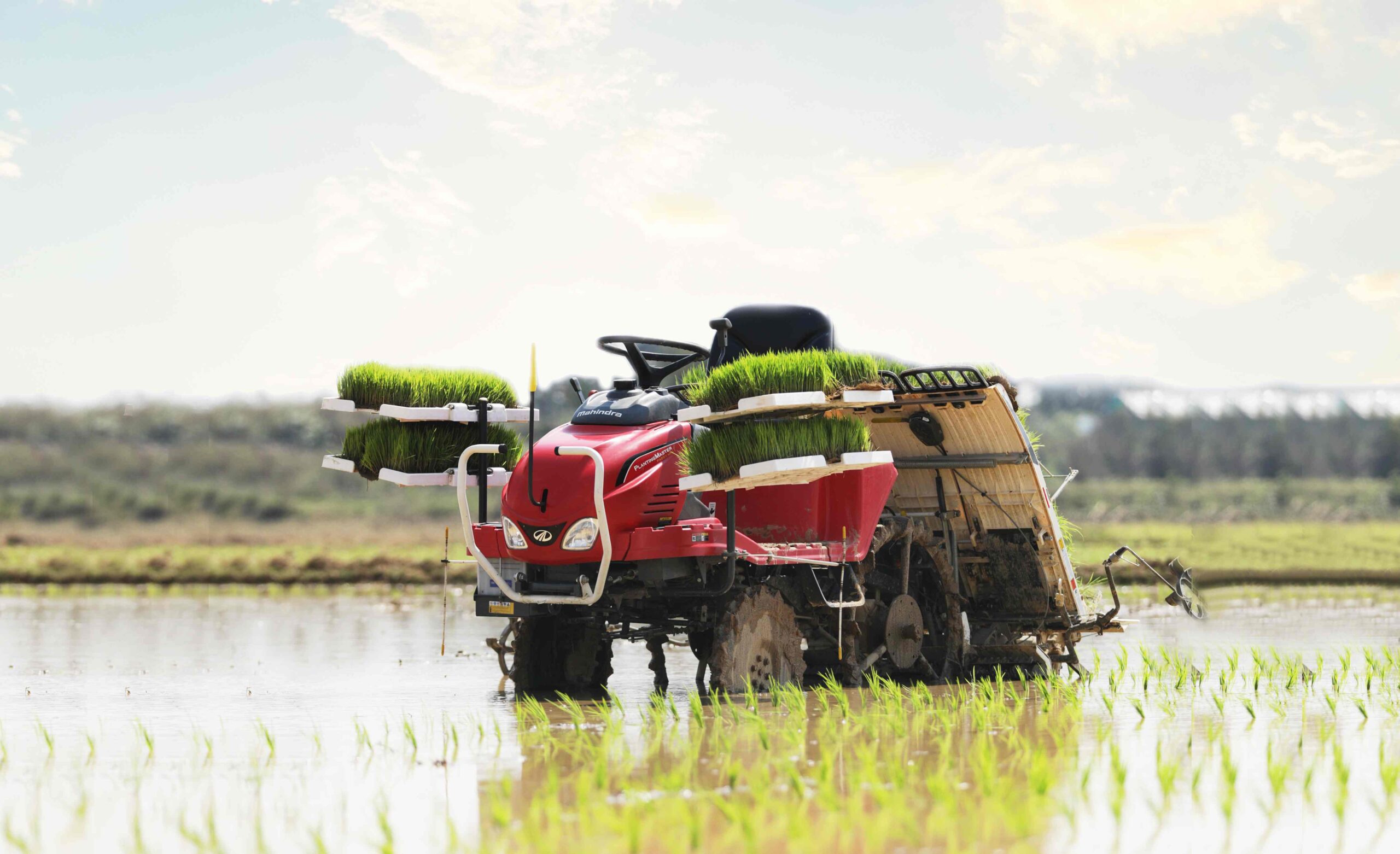 rice transplanter