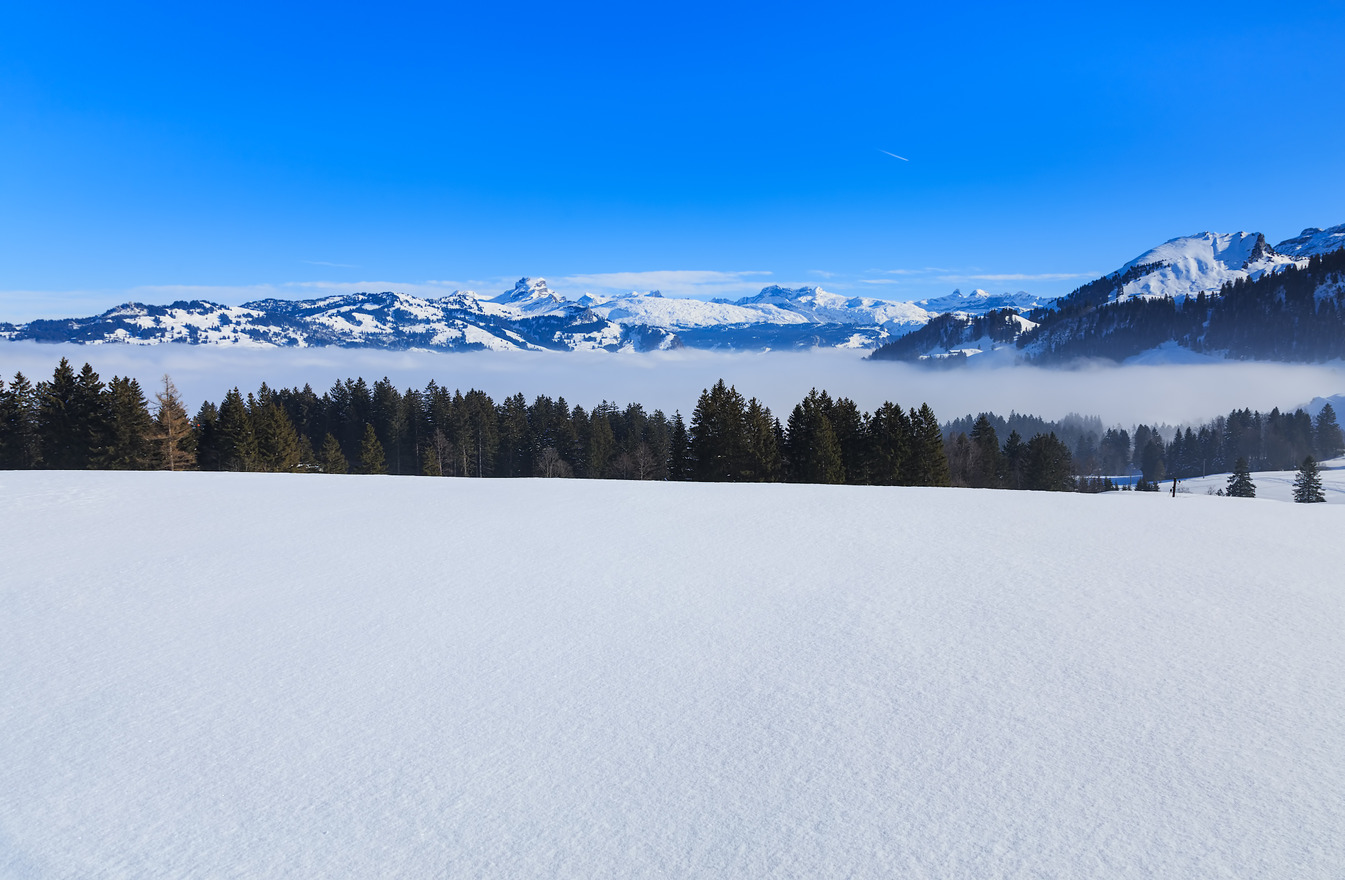 himachal