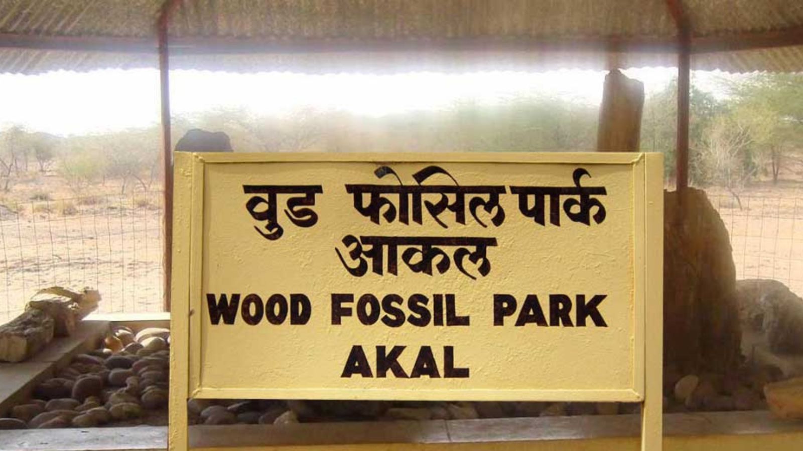 Akal Wood Fossil Park