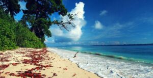 Andaman Tour
