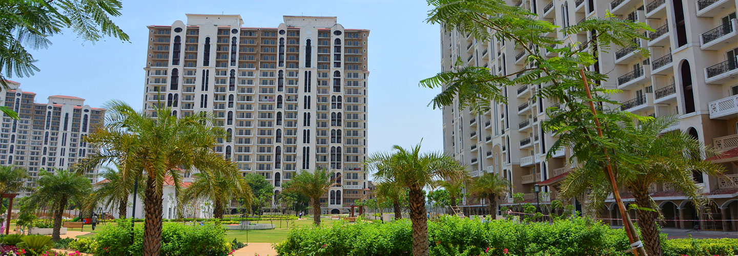 dlf new town heights