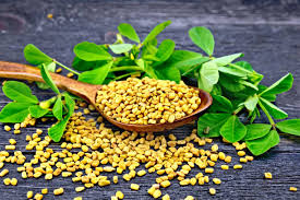 Fenugreek