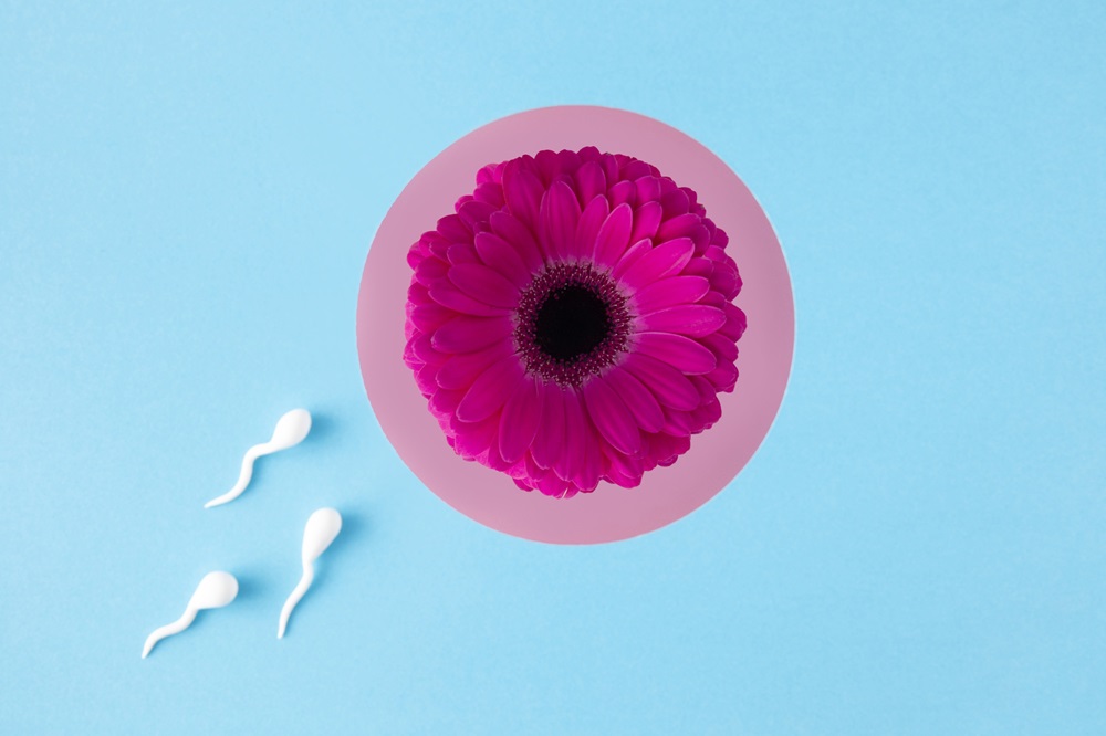 Fertility Awareness