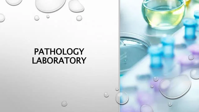 Myths About Pathology Labs What’s True and What’s Not