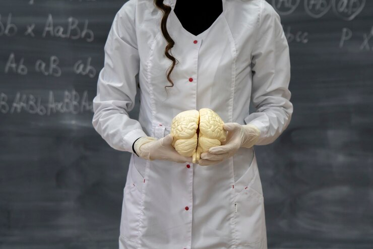 brain
