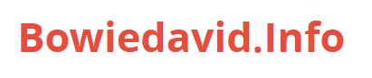 bowiedavid logo