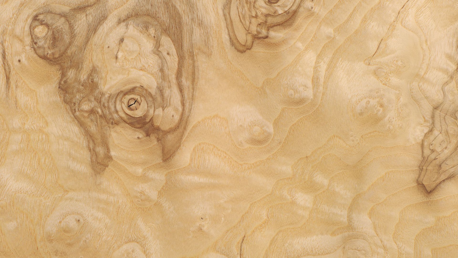 A Guide to Understanding the Varieties of Wood Veneers