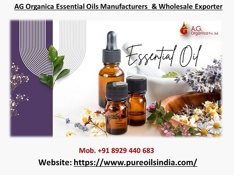 AG Organica: Trusted Cinnamon Oil Manufacturer & Wholesale Supplier