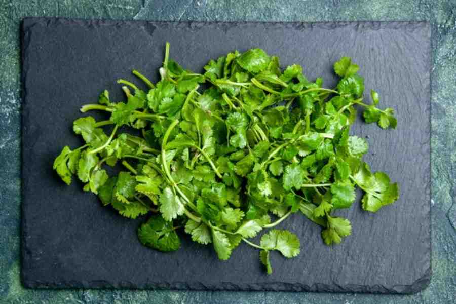 Benefits of coriander leaves