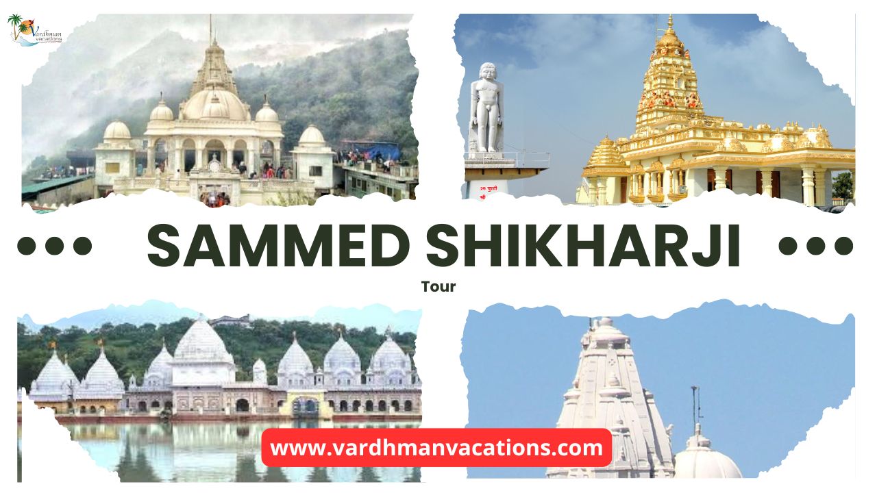 Sammed Shikharji Tour