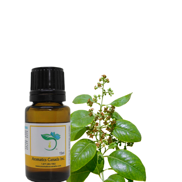 Sandalwood Organic Essential Oil