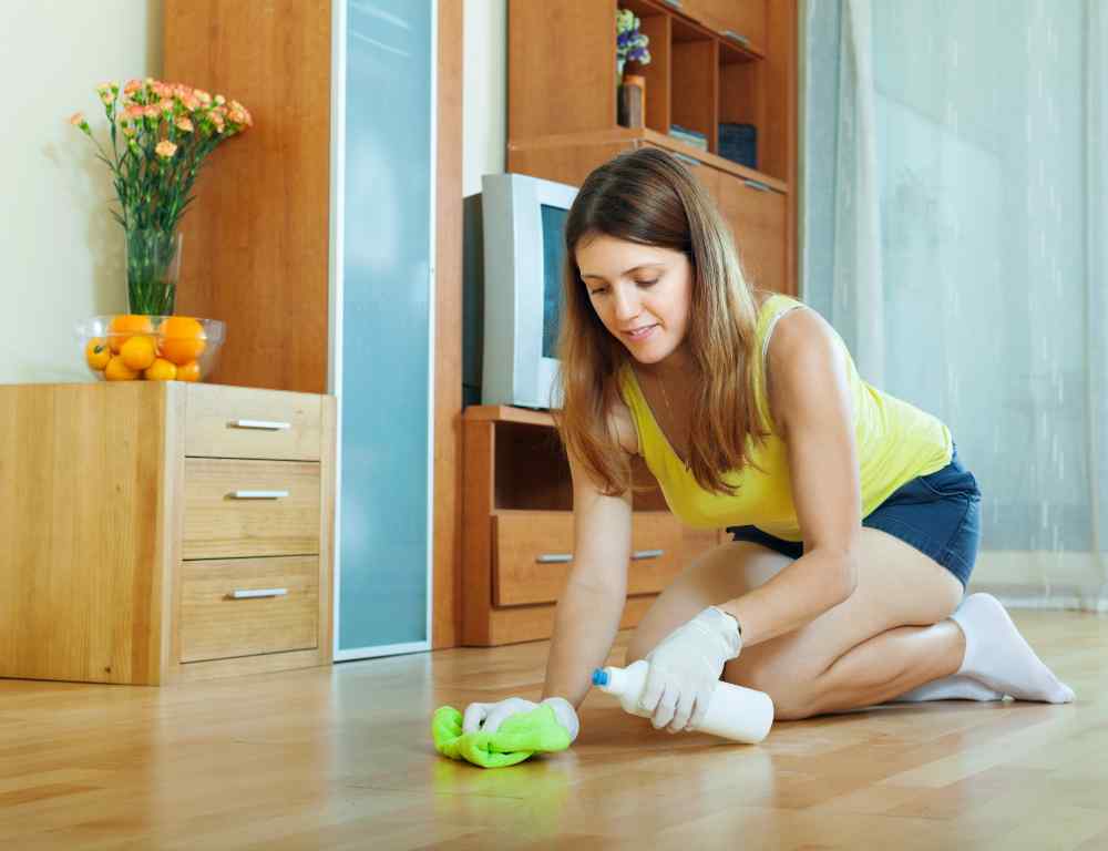 Strip Cleaning services Sylva NC