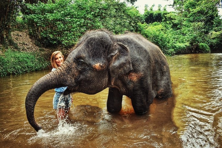 elephant sanctuary