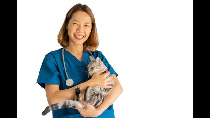 Comprehensive Guide to Pet Vaccination in Karachi