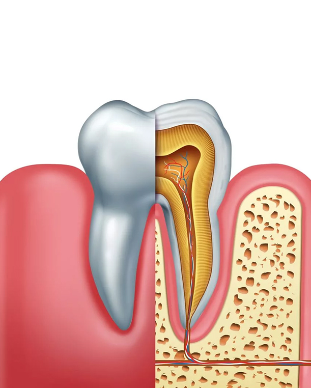 affordable root canal treatment in swawlambi nagar