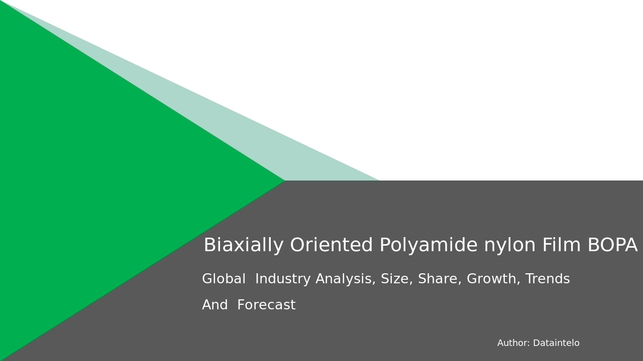 164557 Biaxially Oriented Polyamide nylon Film BOPA Report Thumbnail