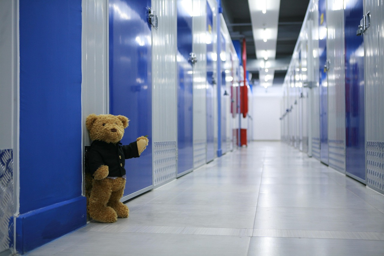 Secure Self Storage Solutions in Sandyford for Personal and Business Use
