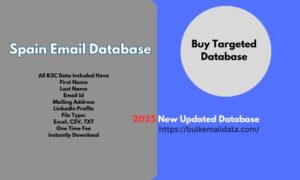 Spain Email Database