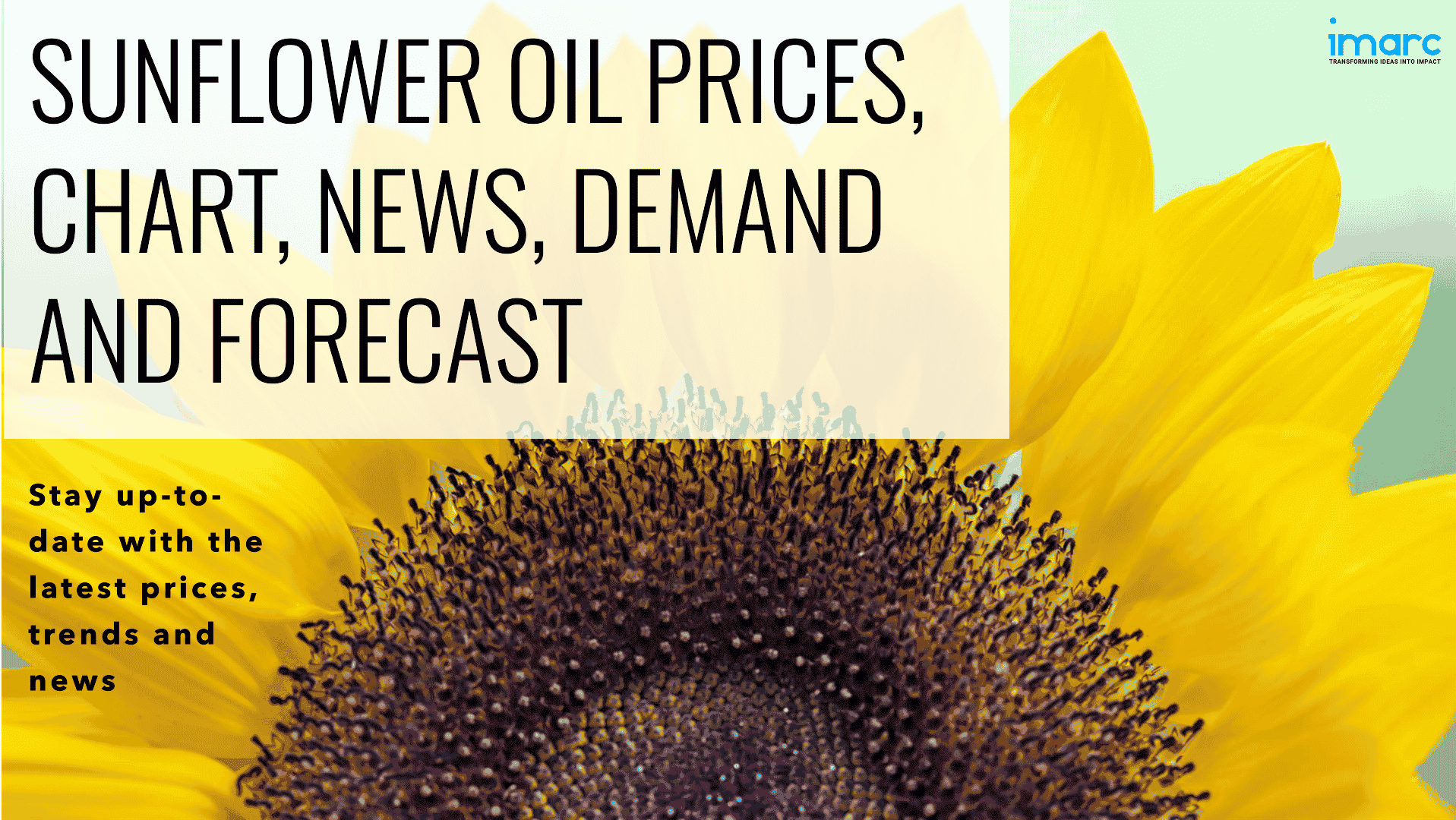 Sunflower Oil Prices