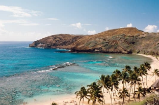 A view of Hawaii beach