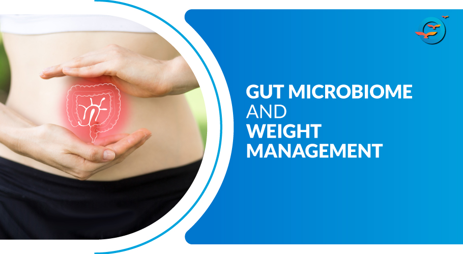 gut microbiome and weight management