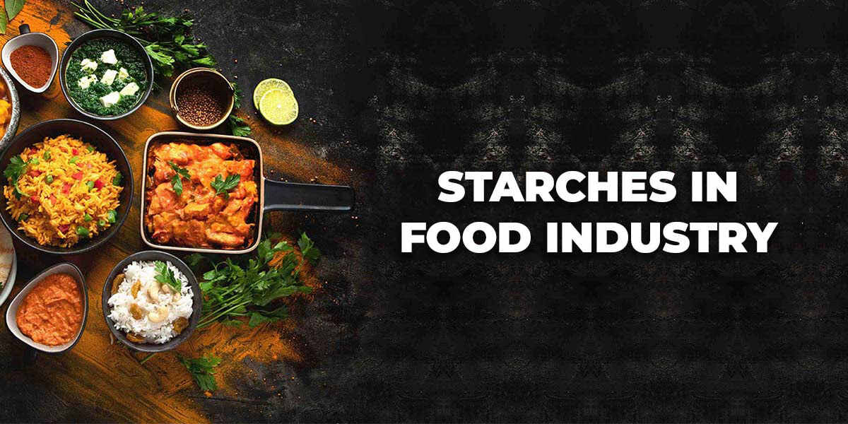 Food Starch Manufacturer in India