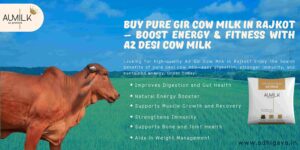 Gir Cow Milk in Rajkot