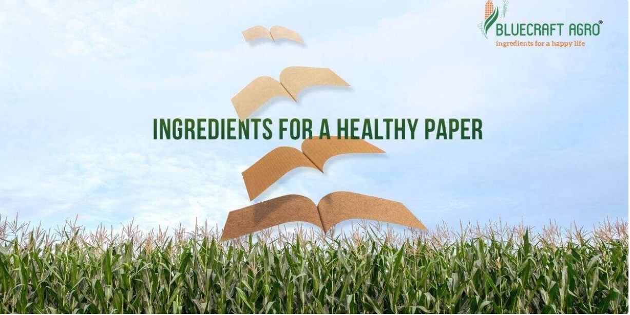 Paper Grade starch Bluecraft Agro