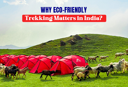 Eco Friendly Trekking - Trek The Himalayas