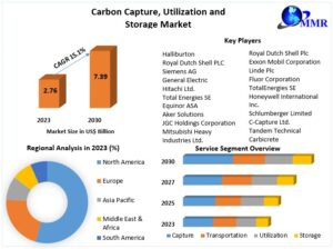 Carbon Capture, Utilization and Storage Market Size, Emerging Trends, Future Outlook, and Forecast 2024–2030​