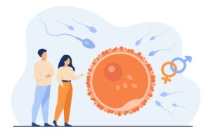 How to Prepare for a Successful IVF Cycle?