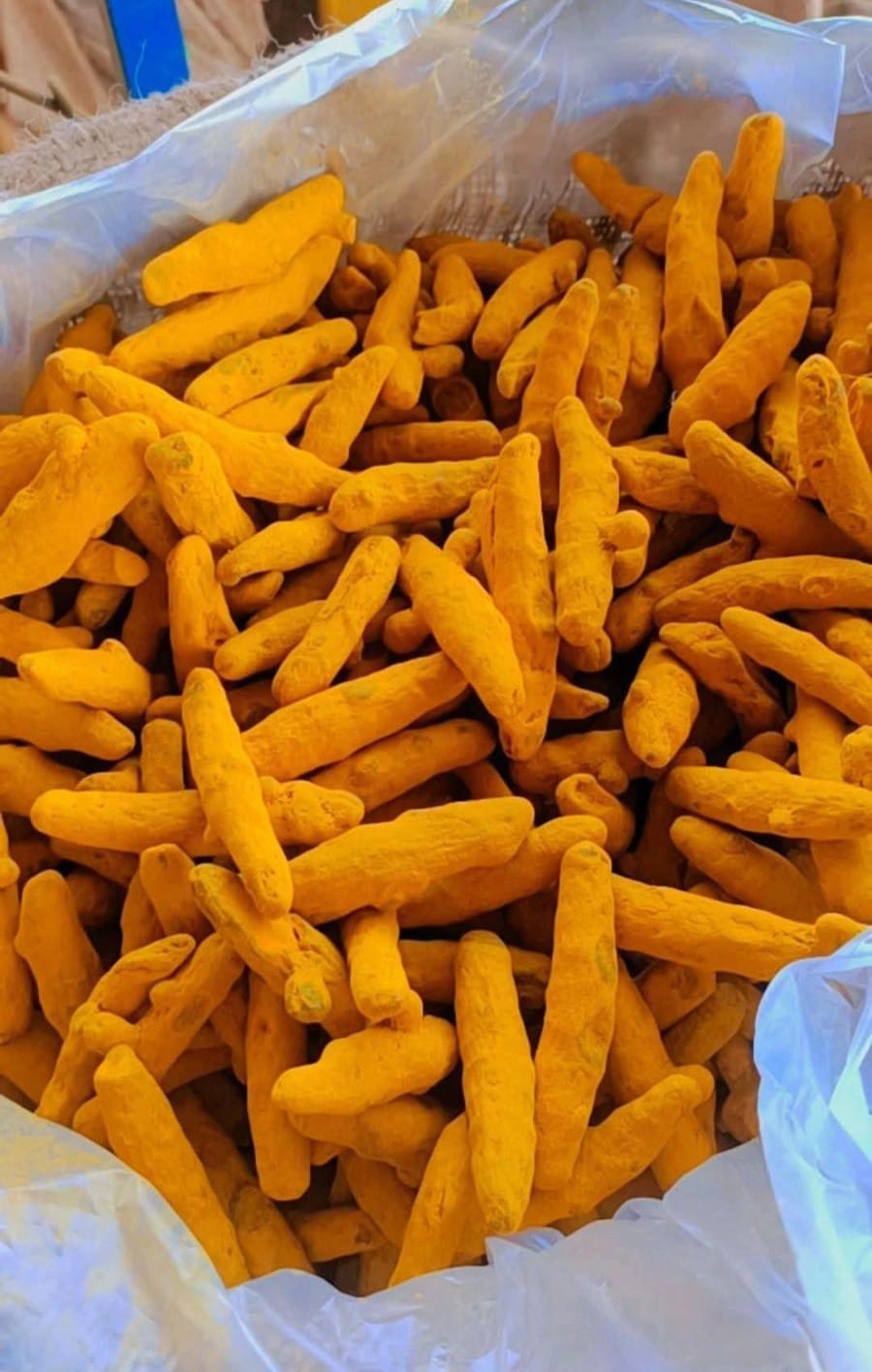 Turmeric at Kailani Galleon