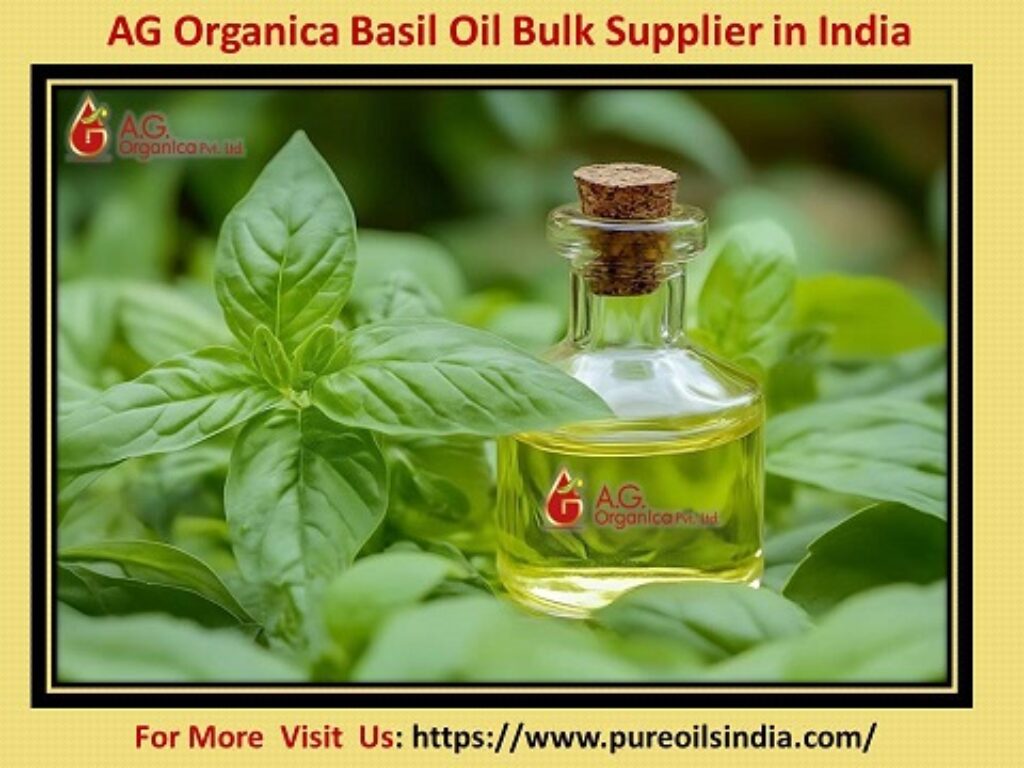 Natural Basil Essential Oil Wholesale Supplier