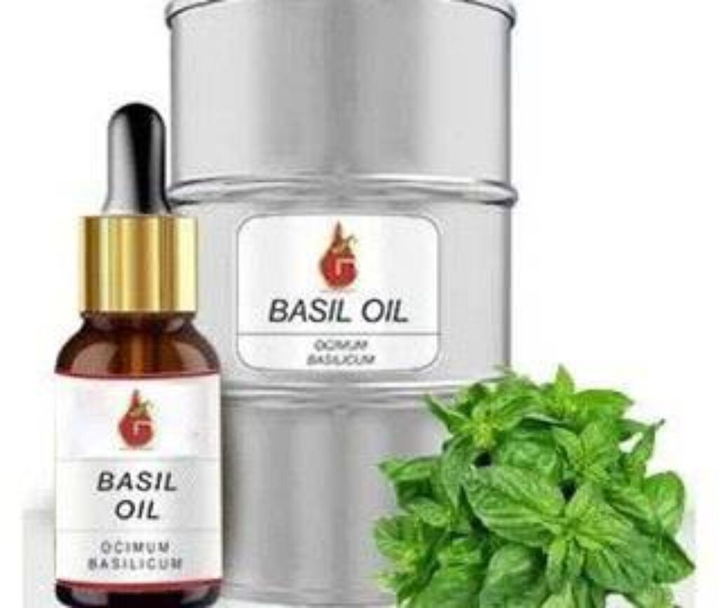 Top Basil oil manufacturer & Wholesale Supplier in India